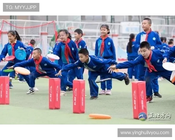 陈强独家分享飞盘技巧与心得体会助你轻松掌握这项运动的乐趣与魅力