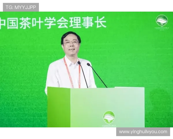 重庆排球队状态分析与未来展望聚焦排球运动发展新机遇