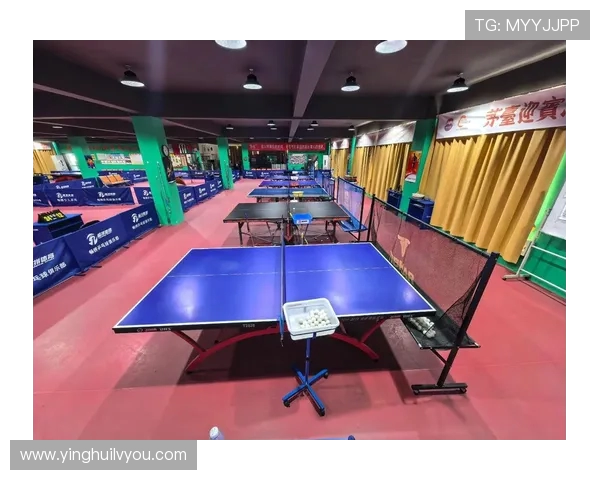 南京乒乓球队在联合会杯中的转型与崛起之路探秘